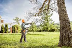 Best Tree Removal  in White Oak, TX